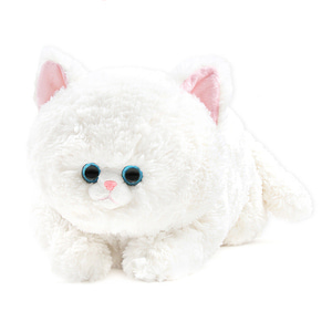 스카이블루 아이캣 봉제인형 고양이 동물인형